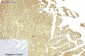 FH Monoclonal Antibody(7F1)
